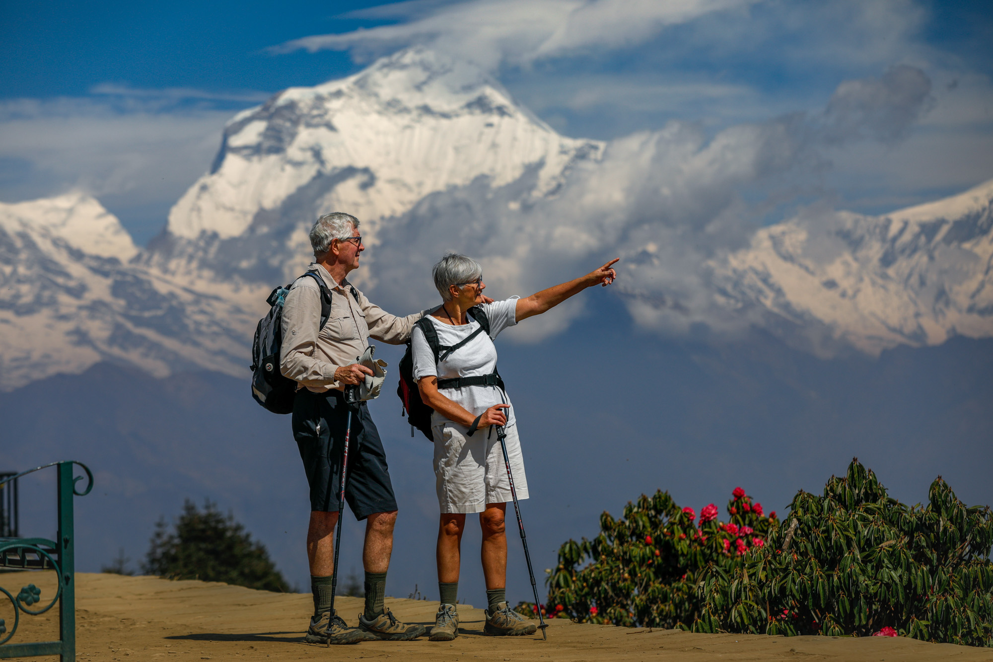 Poon Hill and Mohare Express Trek