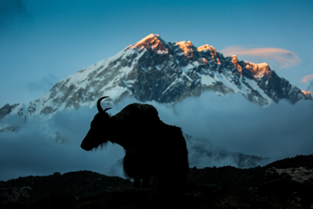 Everest Base Camp Comfort Trek