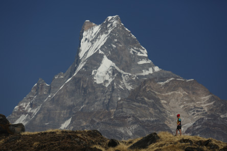 Mardi Himal Express Trek