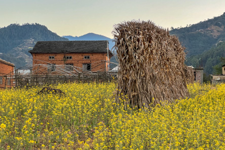 Newa Valley Countyside